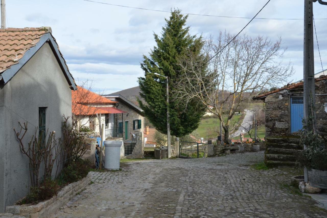 Vila Casa Freixedelo Santa Comba de Rossas Exteriér fotografie